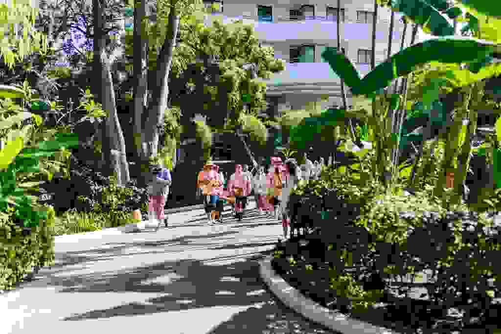 20190324-190324-0219.jpg