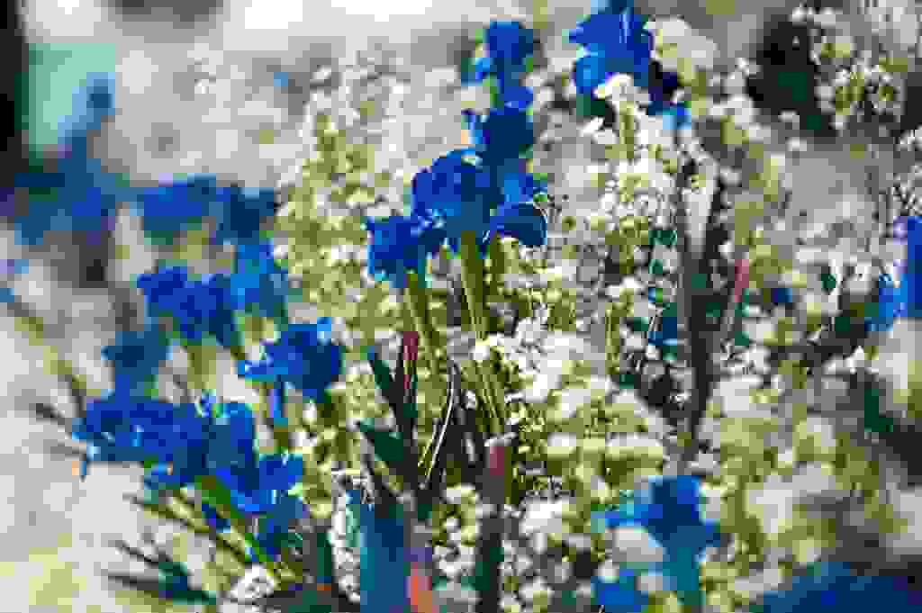 Wedding-25.jpg